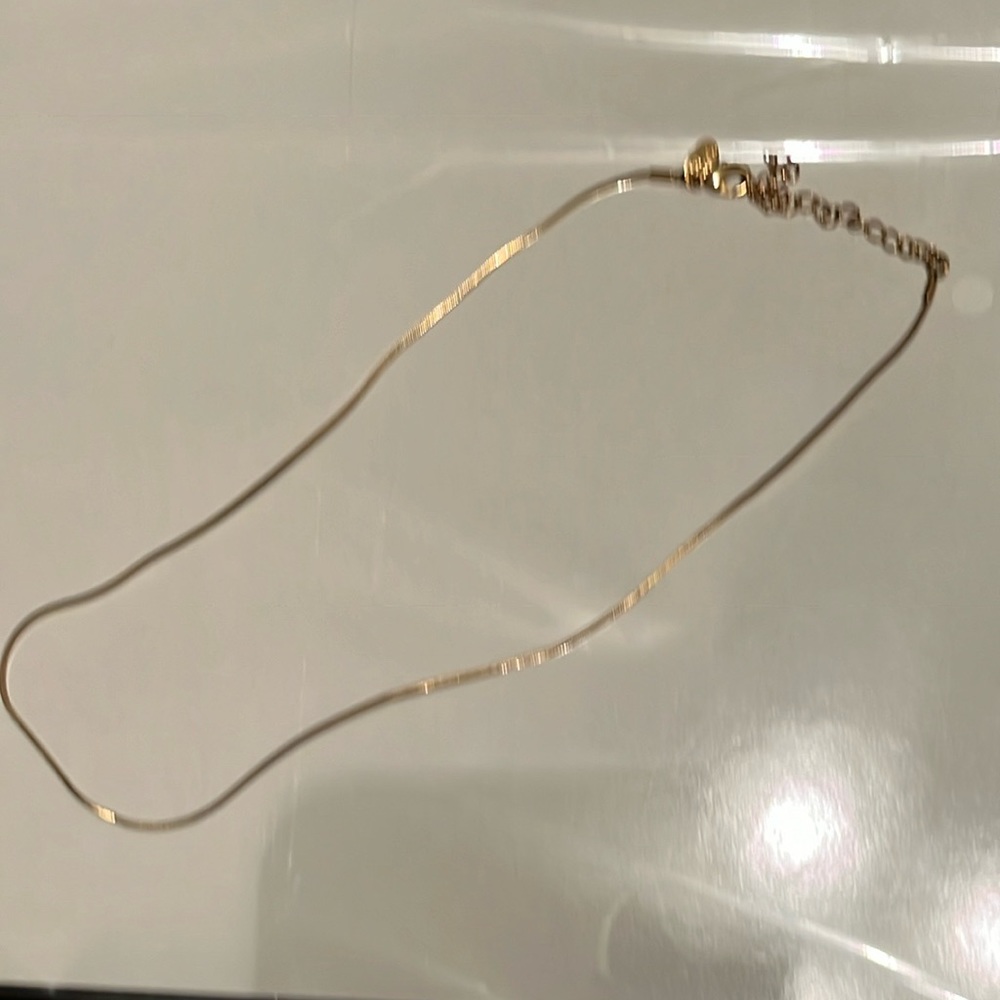 Lia Sophia Goldtone chain